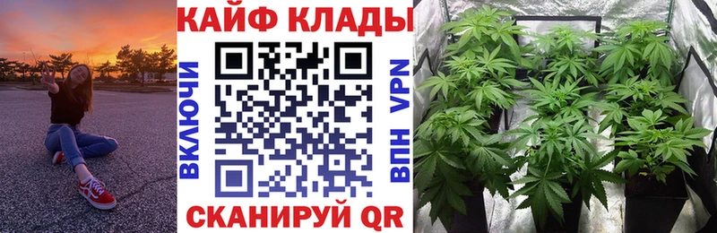 Наркошоп Переславль-Залесский mega онион  ТГК  Гашиш  Меф  Alpha PVP  МАРИХУАНА 