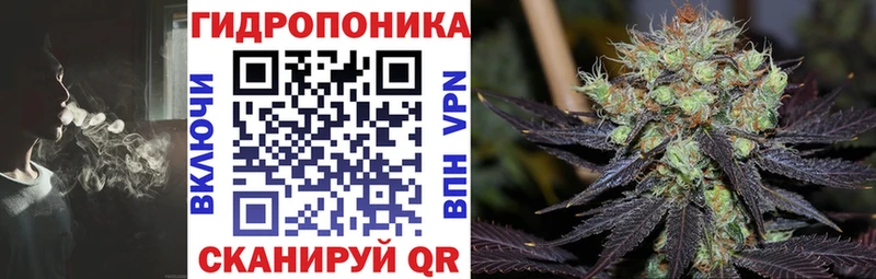 Бошки марихуана OG Kush  omg как зайти  Переславль-Залесский 